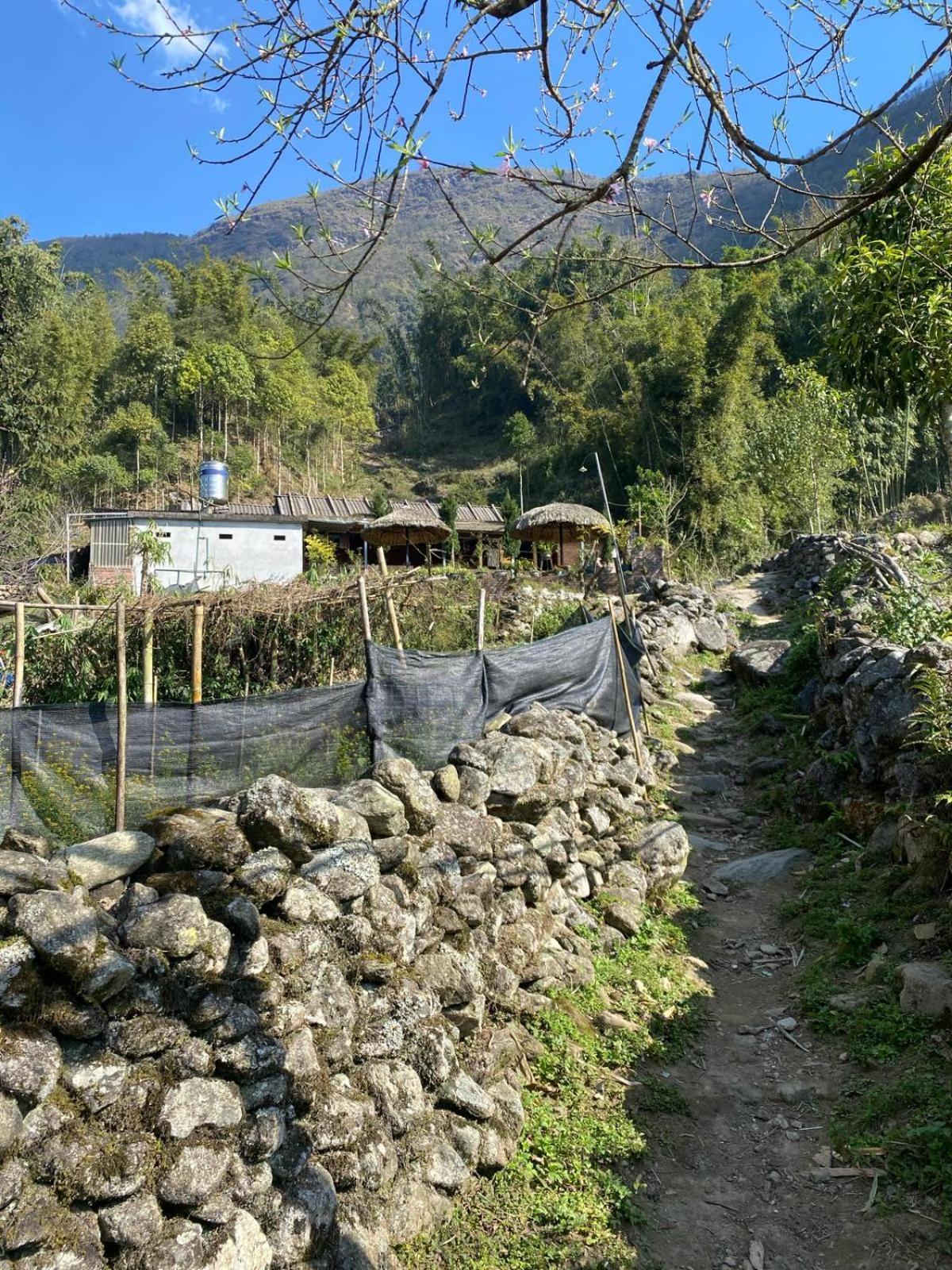 Sue Pa Family Trekking Homestay 사파 외부 사진