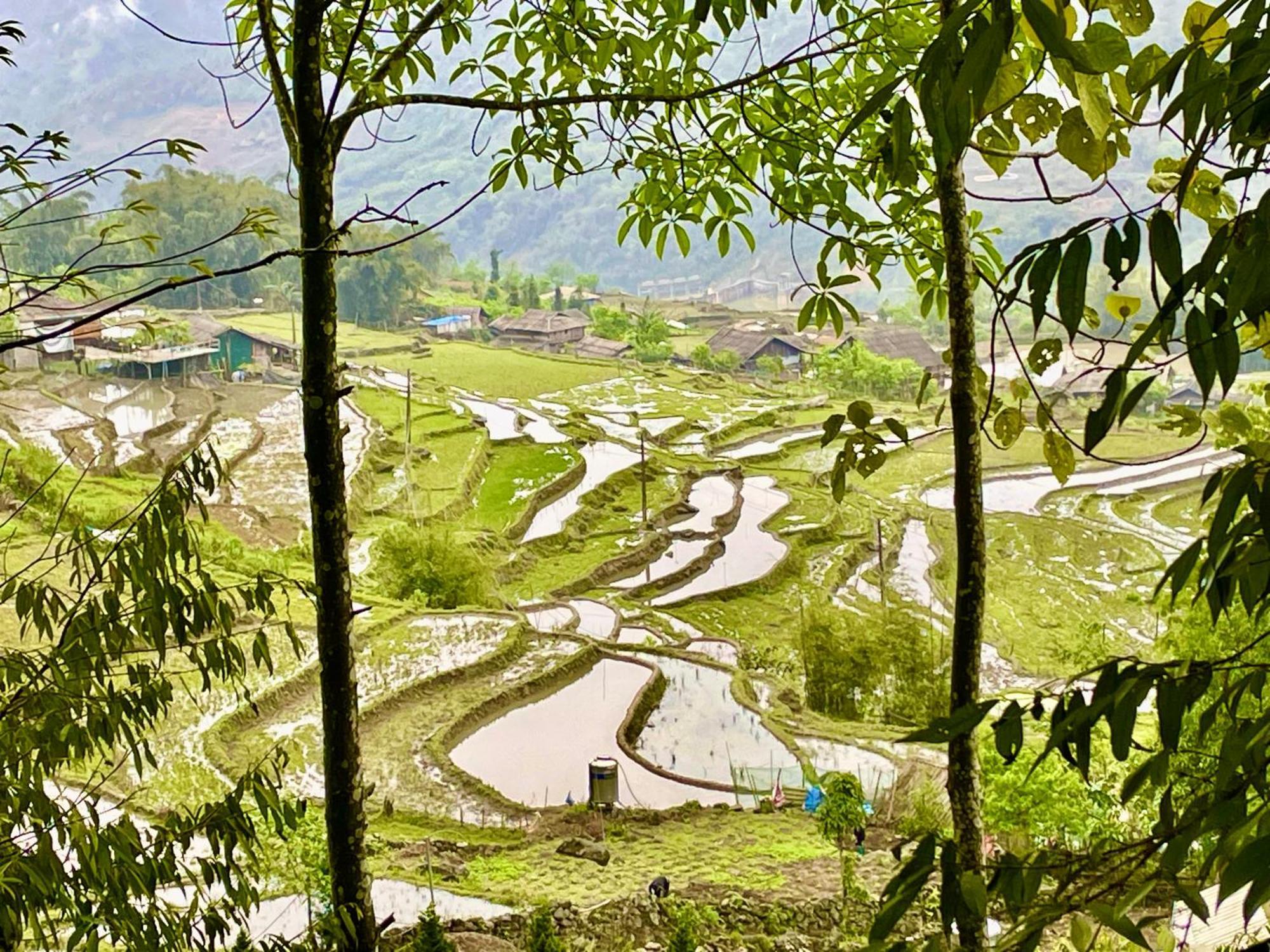 Sue Pa Family Trekking Homestay 사파 외부 사진