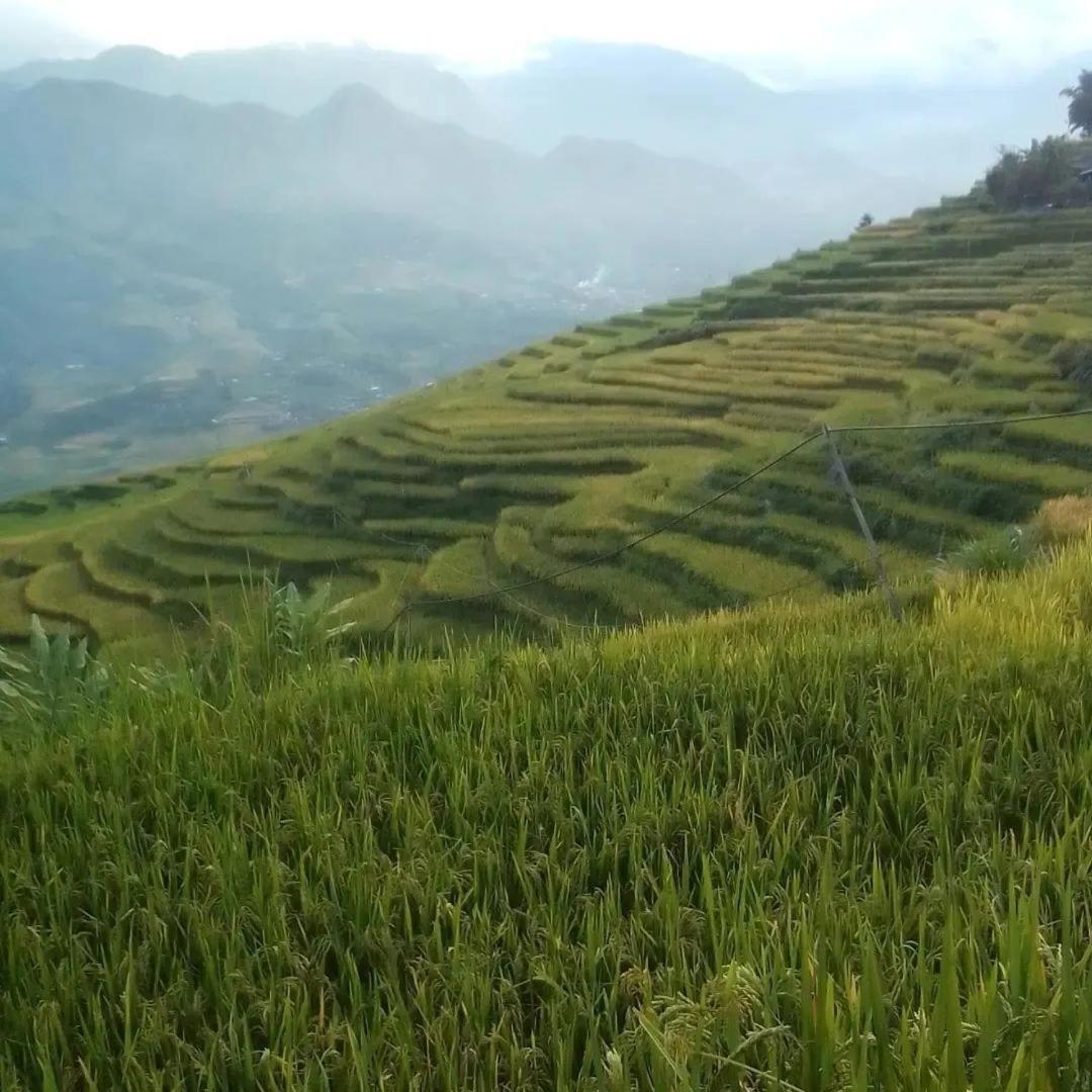 Sue Pa Family Trekking Homestay 사파 외부 사진