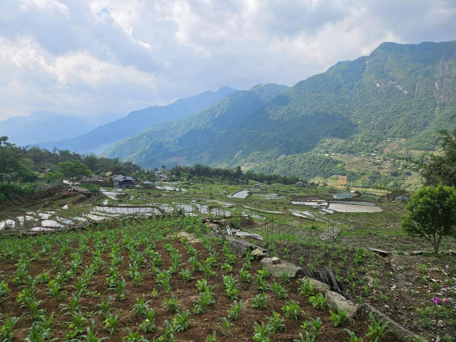 Sue Pa Family Trekking Homestay 사파 외부 사진
